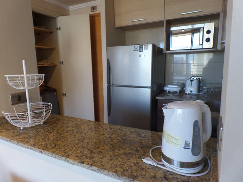 Arriendo (año Corrido ) 1 Dorm....x Copec Av.eluchans