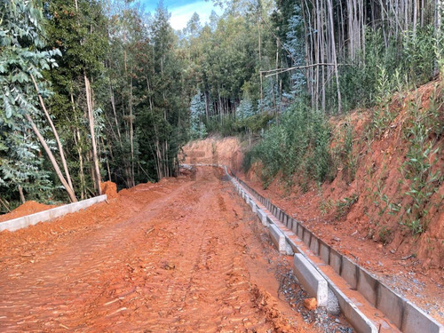 Terrenos Exclusivos Urbanizados En Un Entorno Natural A M...