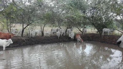 Finca en venta
