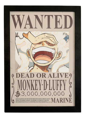 Cuadro Con Vidrio, Cartel De Luffy, One Piece, 53,5cm X 38cm