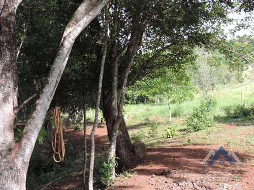 Chácara Com 1 Dormitório À Venda, 8000 M² Por R$ 480.000,00 - Gleba Ribeirão Cafezal - Londrina/pr - Ch0031