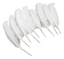 Comprar Plumas De Gallo 100 X250 Unidades Manualidades Indumentaria