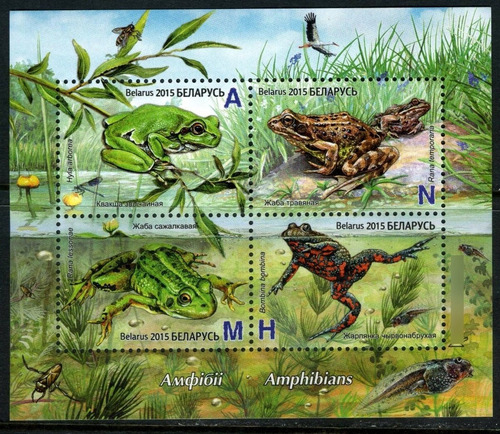 2015 Fauna- Anfibios- Ranas- Bielorrusia (bloque) Mint