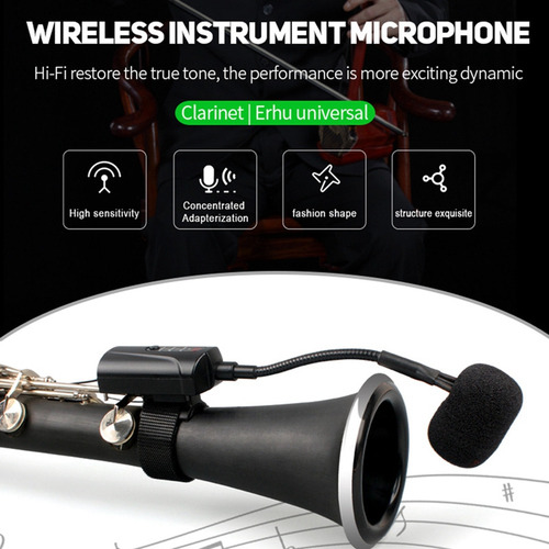 Micrófono De Flauta Inalámbrico Dt-5 Signal Stable So