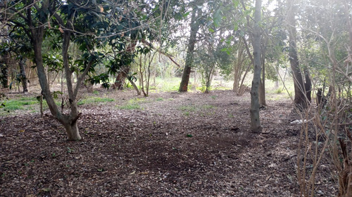 Lotes En Fátima