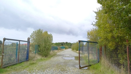 Arriendo: Gran Galpón Industrial Ubicado En Ruta 5...