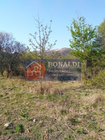 Imagen 2 de 2 de Lote En La Cumbre