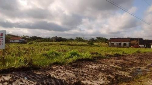 Imagem 5 de 9 de Vendo Terreno De Frente Para A Rodovia | Itanhaém - 6248 Npc