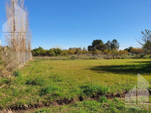 Imagen 2 de 11 de Terreno - Villa California