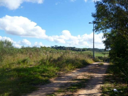 Imagem 11 de 13 de Chácara Em São José Dos Pinhais - 0828 - 3399849