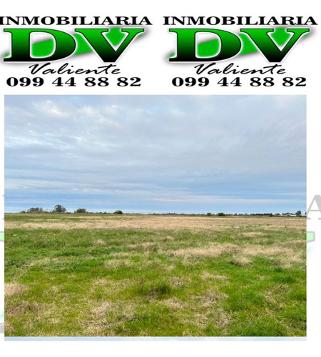 Campo En Venta De 75000m2 Ubicado En Pueblo Castellanos