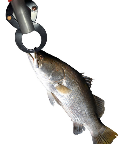 Alicate Pega Peixe Com Balança 21 Kg - Vermelho Pesca