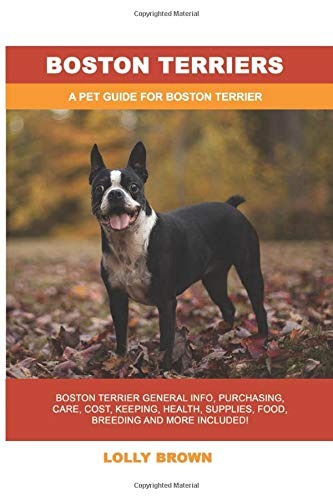 Boston Terriers Boston Terrier Informacion General Cuidado D