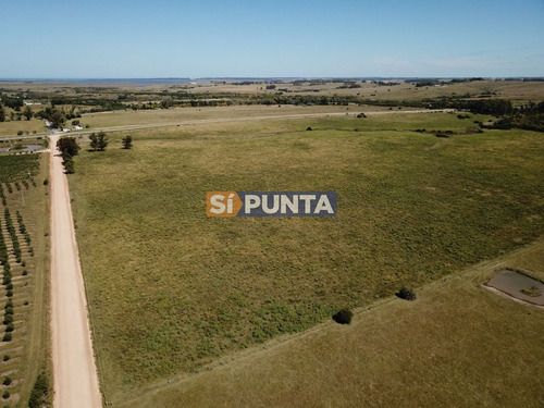 Imagen 2 de 13 de Campo En Garzón Venta Turístico