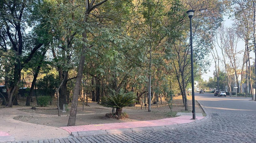 Imagen 10 de 11 de Terreno En Venta Fraccionamiento Arboreto, San Pedro Cholula