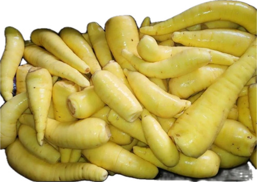 Mudas De Mandioquinha Salsa Batata Salsa 50 Unidades Oferta