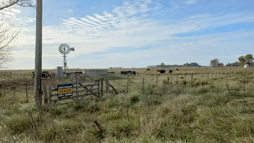 Imagen 4 de 30 de En Venta Chacra En Tapalque. Vendida