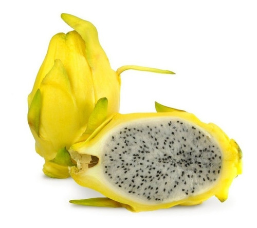 Sobre Para Sembrar 15 Plantas Frutos Del Dragon Pitaya Amar