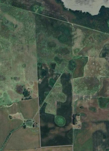 Campo En Saladillo