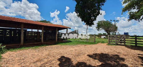 Imagem 5 de 18 de Fazenda Na Região De Bauru À Venda, 118 Alq Por R$ 15.000.000 - Bauru - Bauru/sp - Fa0016