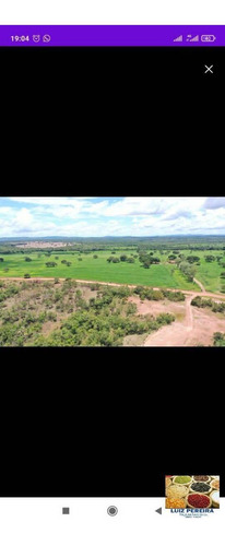 Imagem 1 de 10 de Fazenda À Venda Em Dois Irmãos - To - De 124 Alqueirões (dupla Aptidão) - 1627