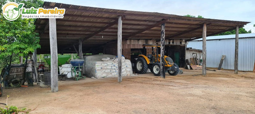 Imagem 14 de 15 de Fazenda À Venda Em Breu Branco - Pa 1.377 Hectares (dupla Aptidão) - 2271