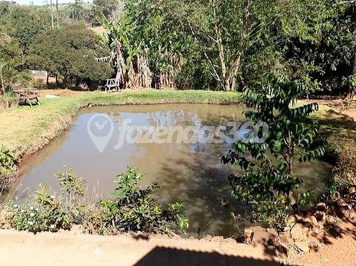Imagem 6 de 12 de Rural Chacara Com 3 Quartos - 335-v
