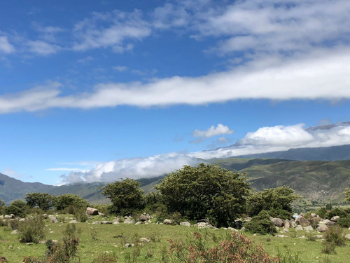 Terreno En Venta En Tafí Del Valle