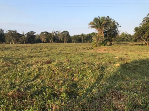 Imagem 20 de 29 de Fazenda À Venda, 3509000 M² Por R$ 2.000.000 - Centro - Pariquera-açu/sp - Fa0216
