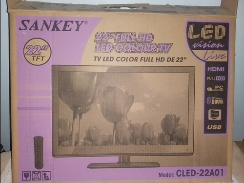 Imagen 2 de 6 de Televisor Sankey 22 Full Hd Led Color Mod.22a01(usado)