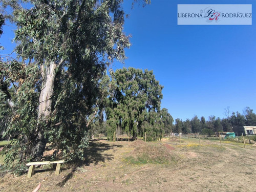 Parcela En Venta En Quintero