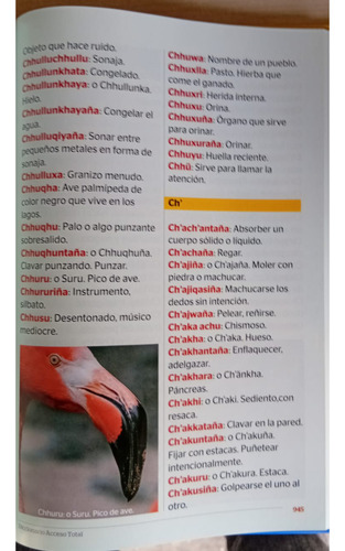 Diccionario Acceso Total