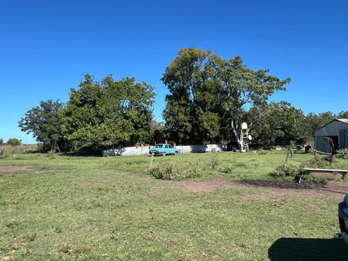 Campo En Venta De 36, 7 Hectáreas Con Manga, Potrero, Molino, Corrales