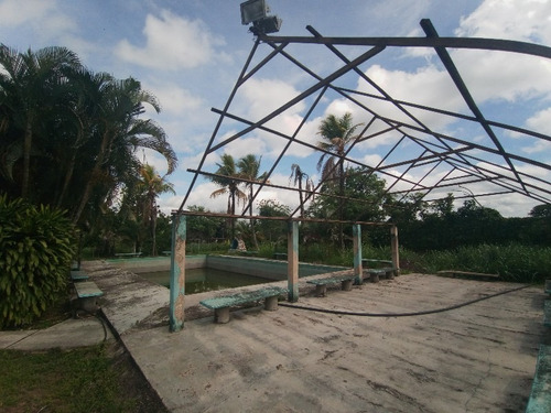 Imagen 9 de 15 de Finca En Tinaquillo. Sof001. Lsl