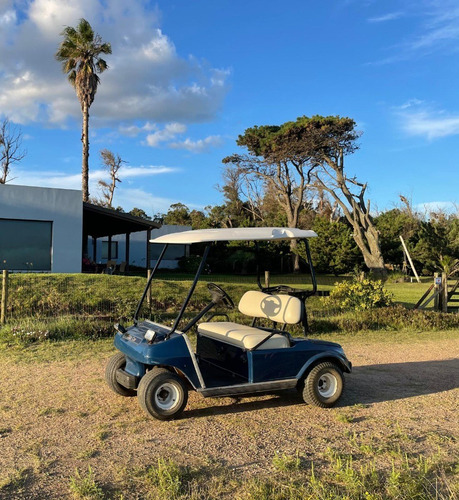 Carro De Golf Carrito Eléctrico Batería Usado Vw