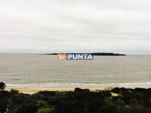 Imagen 2 de 15 de El Mar Y Buen Gusto A Sus Pies