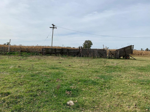 Imagen 11 de 17 de Venta- Campo De 82 Hectáreas En Goldney