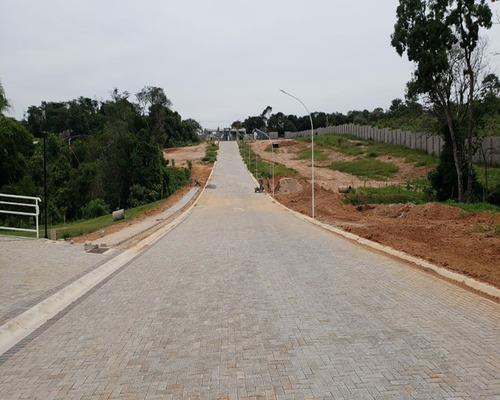 Imagem 5 de 7 de Terreno - Te01001 - 33768079