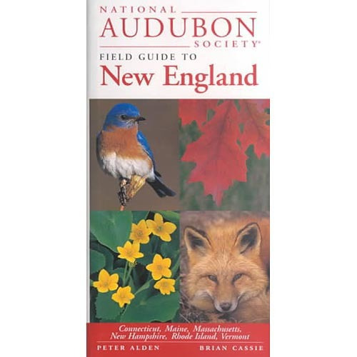 Sociedad Nacional Audubon Guía De Campo De Nueva Inglaterra