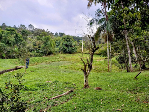 Imagem 20 de 20 de Chácara À Venda Em Juquitiba Com Lago 14.000 M²