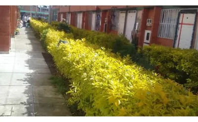 Apartamento en venta