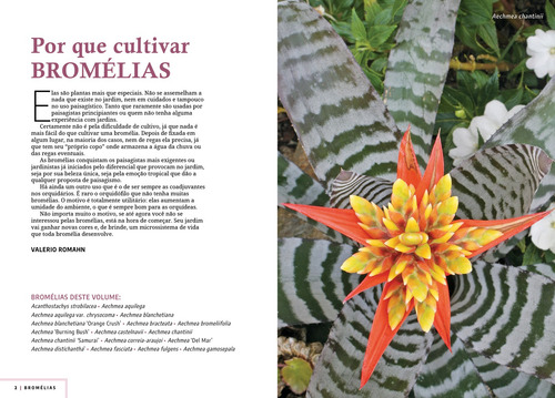 Enciclopédia de Bromélias - Volume 1, de Valerio, Romahn. Editorial Editora Europa, capa mole em português, 2022