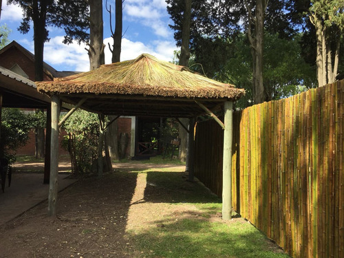 Imagen 7 de 10 de Techos De Paja - Sombrillas - Pergolas De Cañas - Quinchos