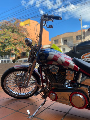 Imagen 9 de 17 de Harley Davidson Softail Custom