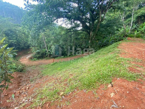 Imagem 10 de 17 de Terreno À Venda No Bairro Moura - Canelinha/sc - 2171t