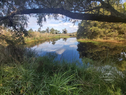 Imagen 26 de 28 de Terreno Barrio Privado 7414 Mts Camino De Los Horneros- Countrie Quinta De Los Horneros