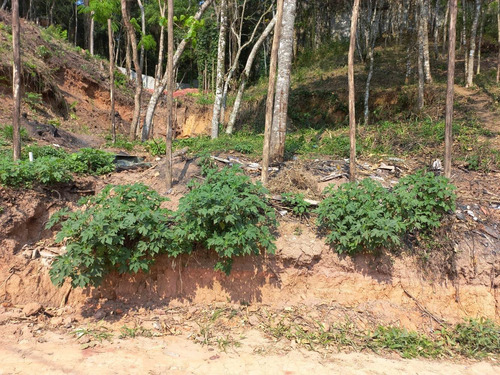 Imagem 6 de 12 de Terreno Mairiporã 800 Metros