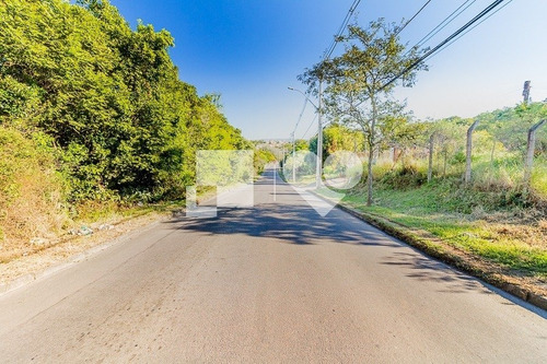 Imagem 10 de 12 de Terreno Em Condominio - Vila Nova - Ref: 43561 - V-58465733