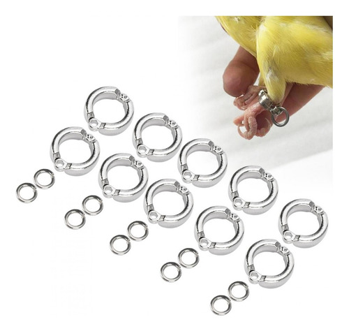 Anillo Para Pata De Aves, 10 Piezas