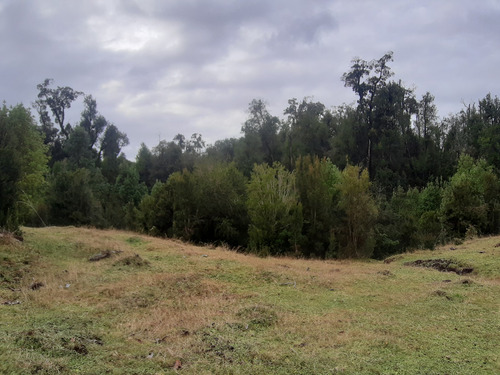 Parcela De 1,26 Hectárea Con Borde De Estero, Sector Puntra